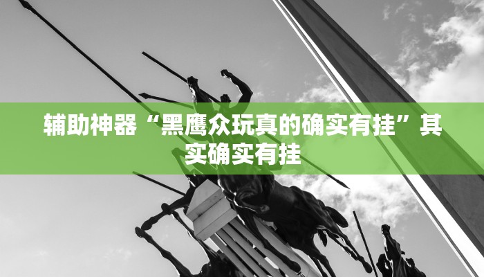 辅助神器“黑鹰众玩真的确实有挂”其实确实有挂