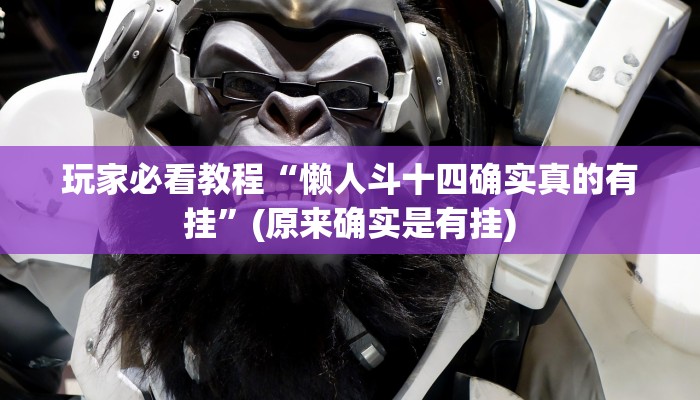 玩家必看教程“懒人斗十四确实真的有挂”(原来确实是有挂)