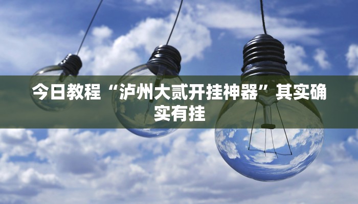 今日教程“泸州大贰开挂神器”其实确实有挂