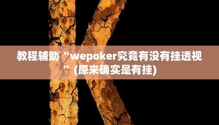 教程辅助“wepoker究竟有没有挂透视”(原来确实是有挂)
