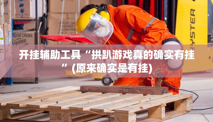 开挂辅助工具“拱趴游戏真的确实有挂”(原来确实是有挂)