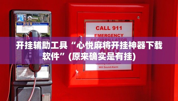 开挂辅助工具“心悦麻将开挂神器下载软件”(原来确实是有挂)