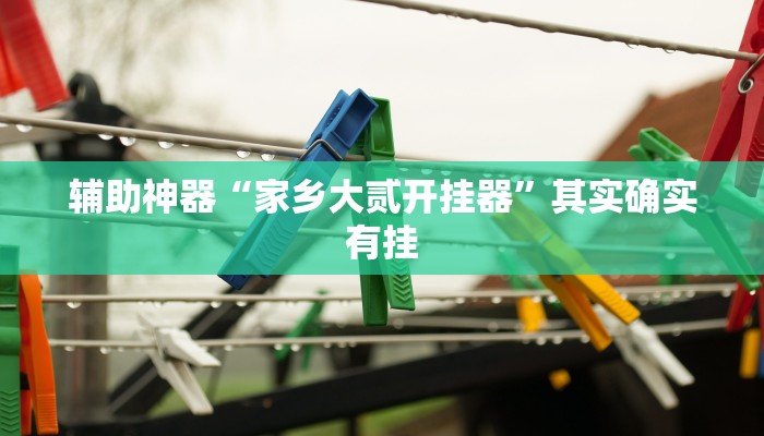 辅助神器“家乡大贰开挂器”其实确实有挂