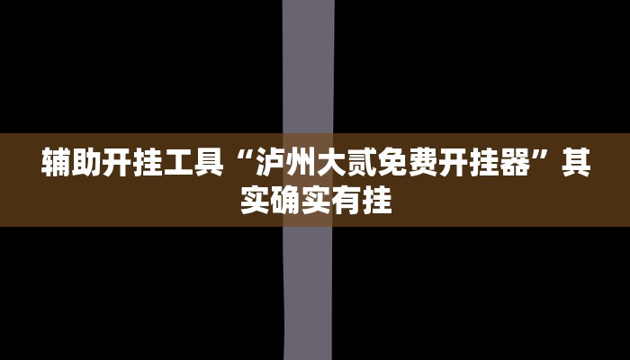 辅助神器“聚友合集真的确实有挂”其实确实有挂 