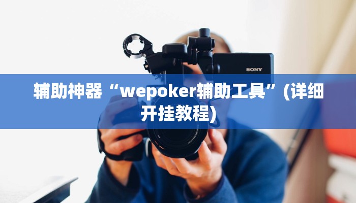 辅助神器“wepoker辅助工具”(详细开挂教程)
