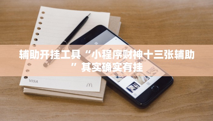 辅助开挂工具“小程序财神十三张辅助”其实确实有挂