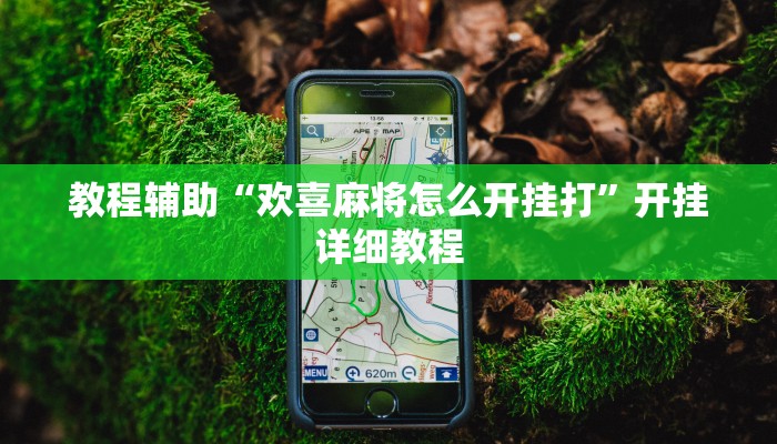 教程辅助“欢喜麻将怎么开挂打”开挂详细教程