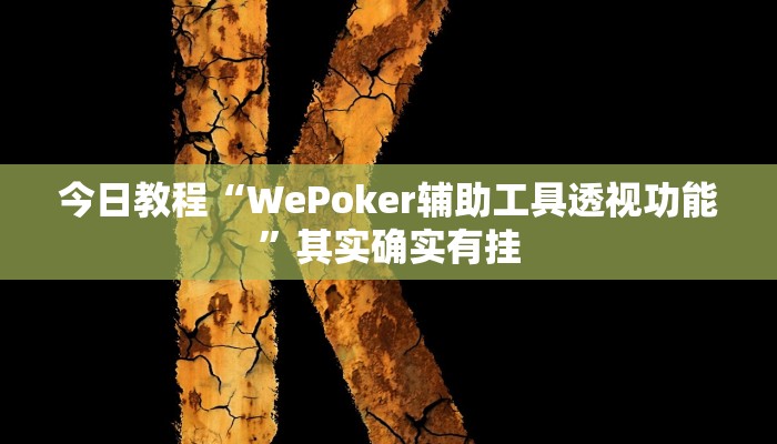 今日教程“WePoker辅助工具透视功能”其实确实有挂