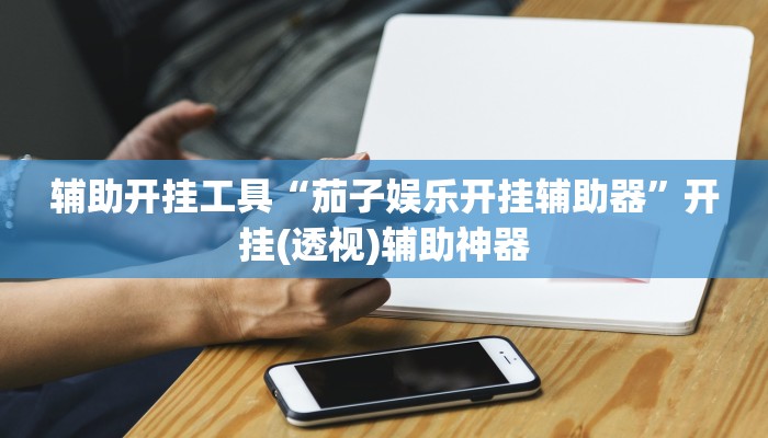 辅助开挂工具“茄子娱乐开挂辅助器”开挂(透视)辅助神器