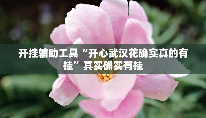 开挂辅助工具“开心武汉花确实真的有挂”其实确实有挂