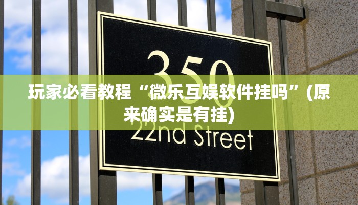 玩家必看教程“微乐互娱软件挂吗”(原来确实是有挂)