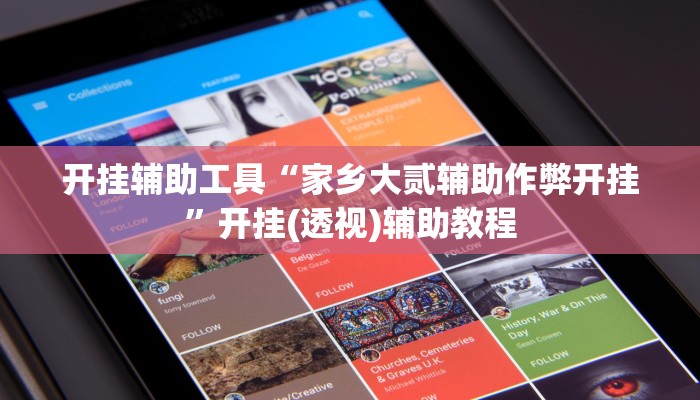 开挂辅助工具“家乡大贰辅助作弊开挂”开挂(透视)辅助教程