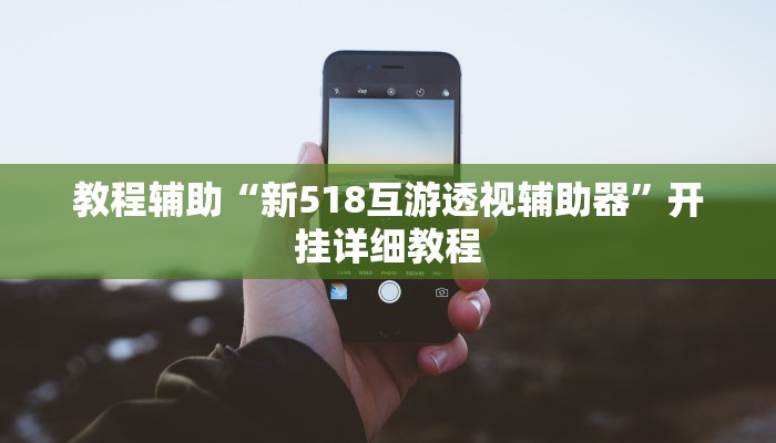 教程辅助“新518互游透视辅助器”开挂详细教程