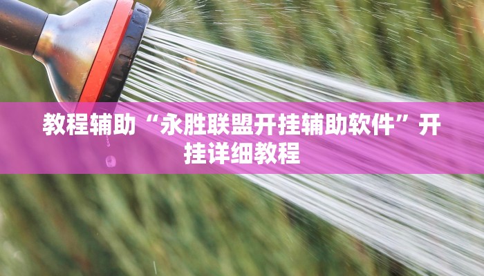 教程辅助“永胜联盟开挂辅助软件”开挂详细教程