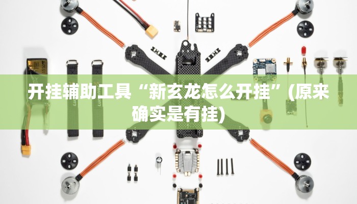 开挂辅助工具“新玄龙怎么开挂”(原来确实是有挂)