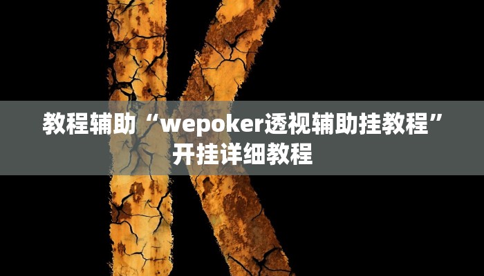 教程辅助“wepoker透视辅助挂教程”开挂详细教程
