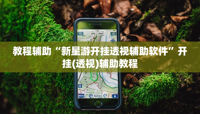 教程辅助“新星游开挂透视辅助软件”开挂(透视)辅助教程