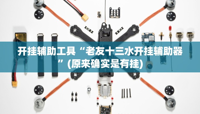 开挂辅助工具“老友十三水开挂辅助器”(原来确实是有挂)