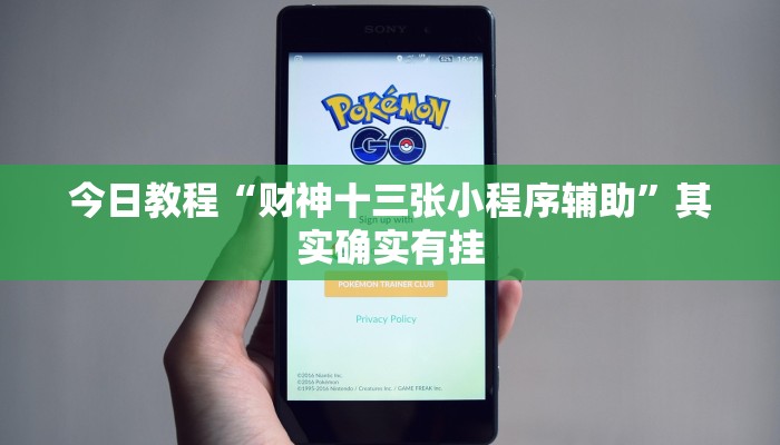 今日教程“财神十三张小程序辅助”其实确实有挂