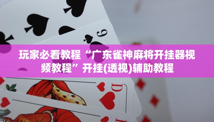 玩家必看教程“广东雀神麻将开挂器视频教程”开挂(透视)辅助教程