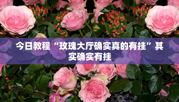 今日教程“玫瑰大厅确实真的有挂”其实确实有挂