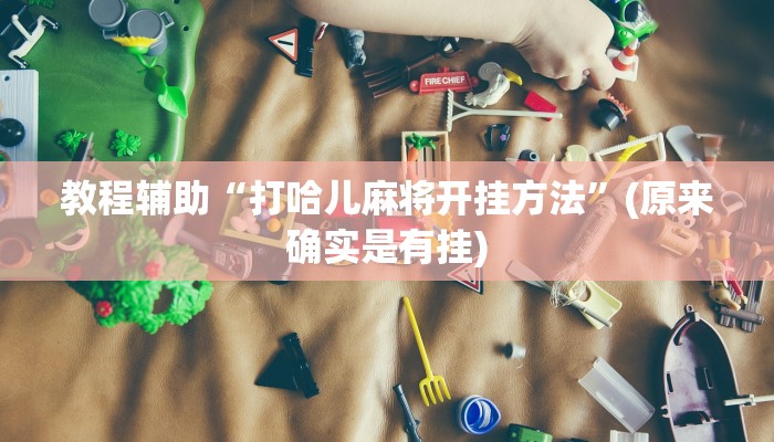 教程辅助“打哈儿麻将开挂方法”(原来确实是有挂)