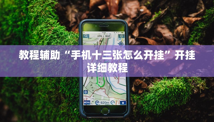 教程辅助“手机十三张怎么开挂”开挂详细教程