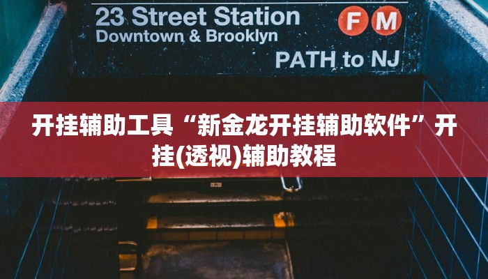 开挂辅助工具“新金龙开挂辅助软件”开挂(透视)辅助教程