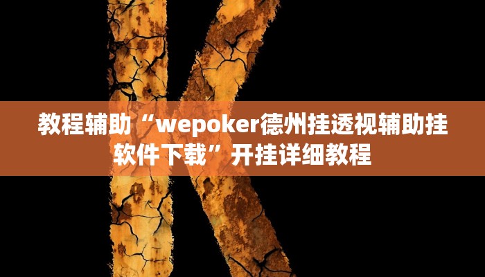 教程辅助“wepoker德州挂透视辅助挂软件下载”开挂详细教程