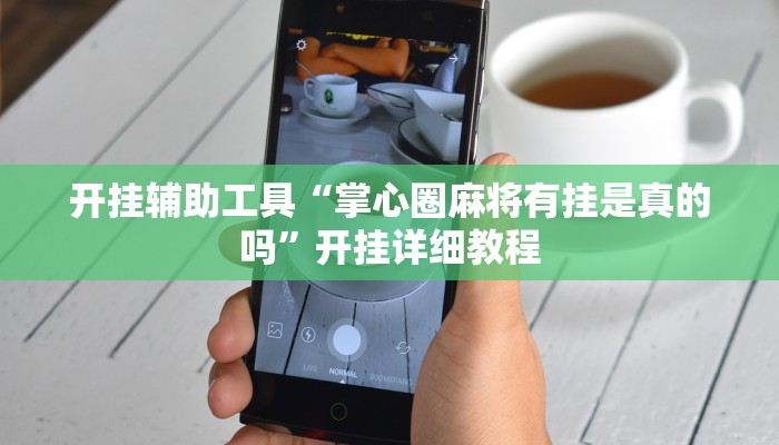 开挂辅助工具“掌心圈麻将有挂是真的吗”开挂详细教程