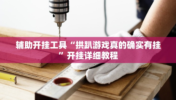 辅助开挂工具“拱趴游戏真的确实有挂”开挂详细教程