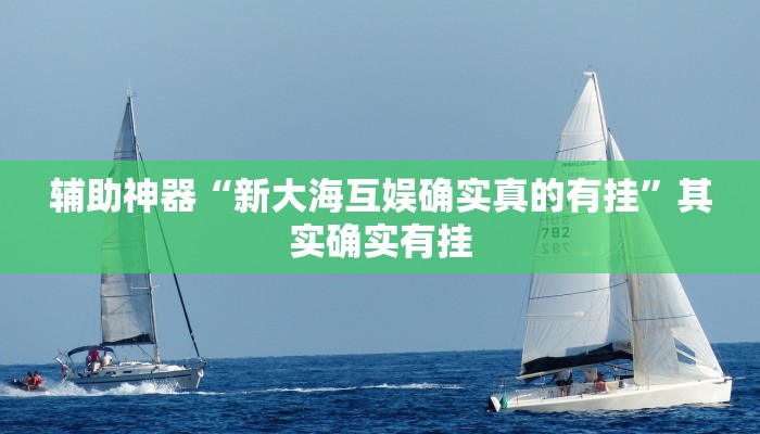 辅助神器“新大海互娱确实真的有挂”其实确实有挂