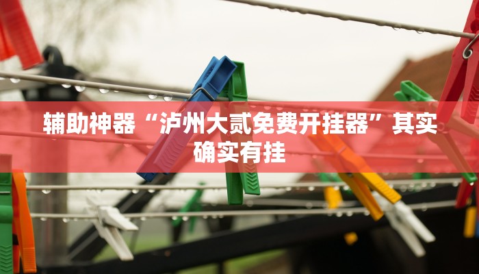 辅助神器“泸州大贰免费开挂器”其实确实有挂