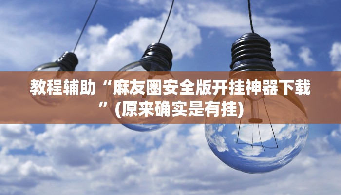 教程辅助“麻友圈安全版开挂神器下载”(原来确实是有挂)