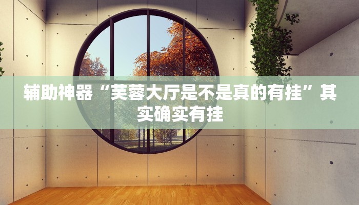 辅助神器“芙蓉大厅是不是真的有挂”其实确实有挂