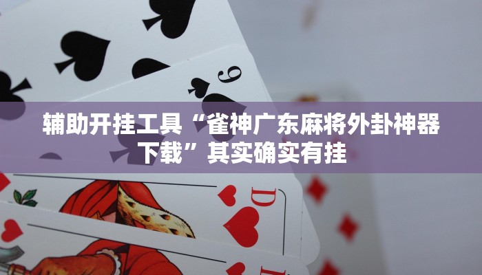 玩家必看教程“博雅红河棋牌开挂器”开挂(透视)辅助教程