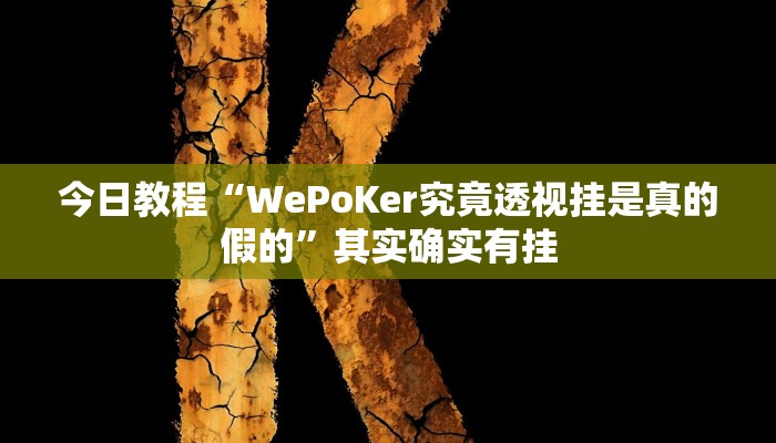 今日教程“WePoKer究竟透视挂是真的假的”其实确实有挂