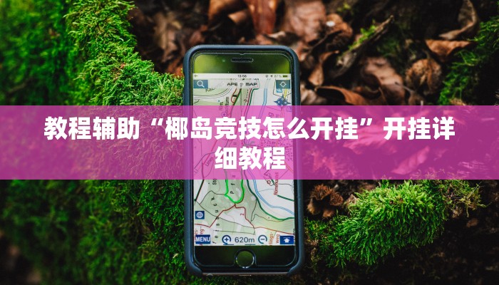 教程辅助“椰岛竞技怎么开挂”开挂详细教程