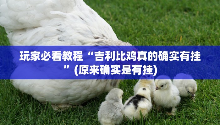 玩家必看教程“吉利比鸡真的确实有挂”(原来确实是有挂)