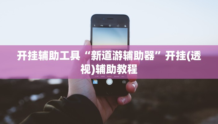 开挂辅助工具“新道游辅助器”开挂(透视)辅助教程