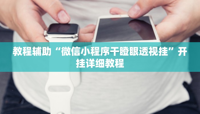 教程辅助“微信小程序干瞪眼透视挂”开挂详细教程