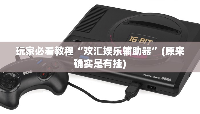 玩家必看教程“欢汇娱乐辅助器”(原来确实是有挂)