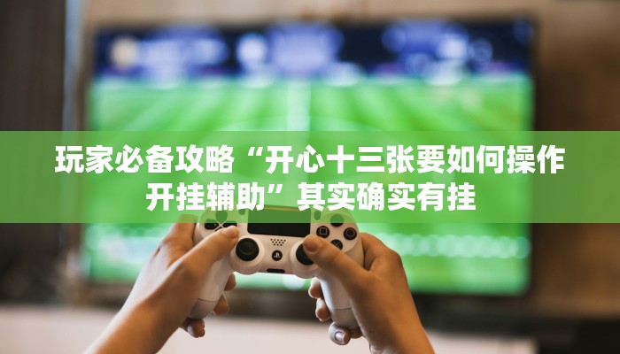 玩家必备攻略“开心十三张要如何操作开挂辅助”其实确实有挂
