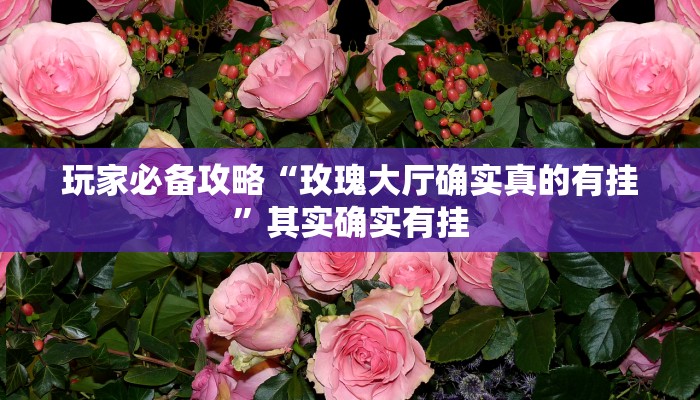 玩家必备攻略“玫瑰大厅确实真的有挂”其实确实有挂