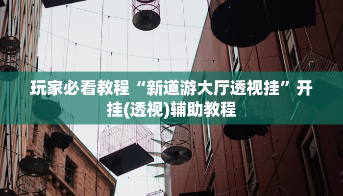 玩家必看教程“新道游大厅透视挂”开挂(透视)辅助教程