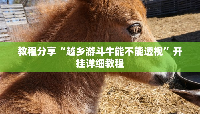 教程分享“越乡游斗牛能不能透视”开挂详细教程