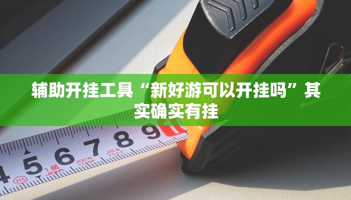 辅助开挂工具“新好游可以开挂吗”其实确实有挂