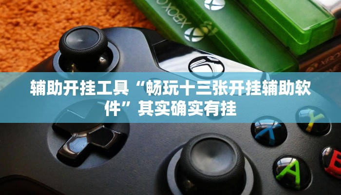 辅助开挂工具“畅玩十三张开挂辅助软件”其实确实有挂