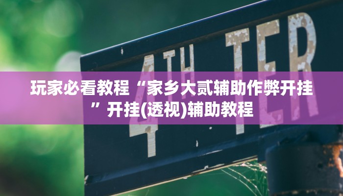 玩家必看教程“家乡大贰辅助作弊开挂”开挂(透视)辅助教程