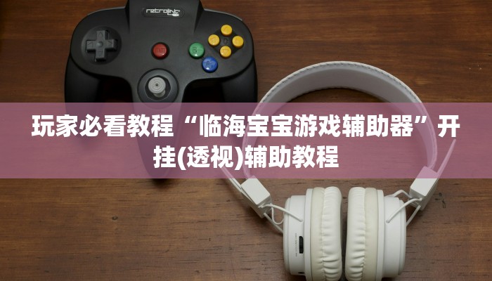 玩家必看教程“临海宝宝游戏辅助器”开挂(透视)辅助教程